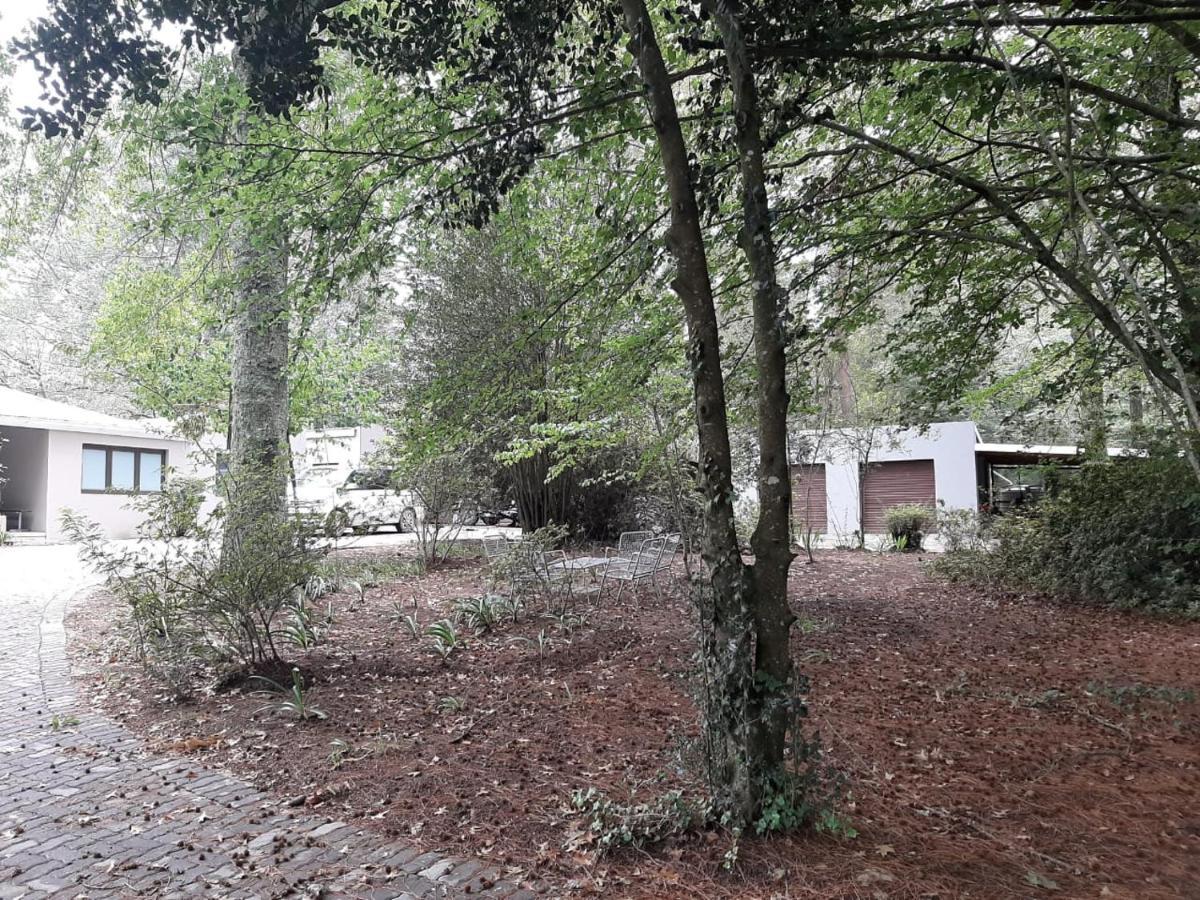 Camroshell Hotel Hogsback Exterior photo